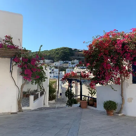 Gorgeous Paros 3 Bedrooms Harmony Private Outdoor Jacuzzi Villa Livadia (Paros)