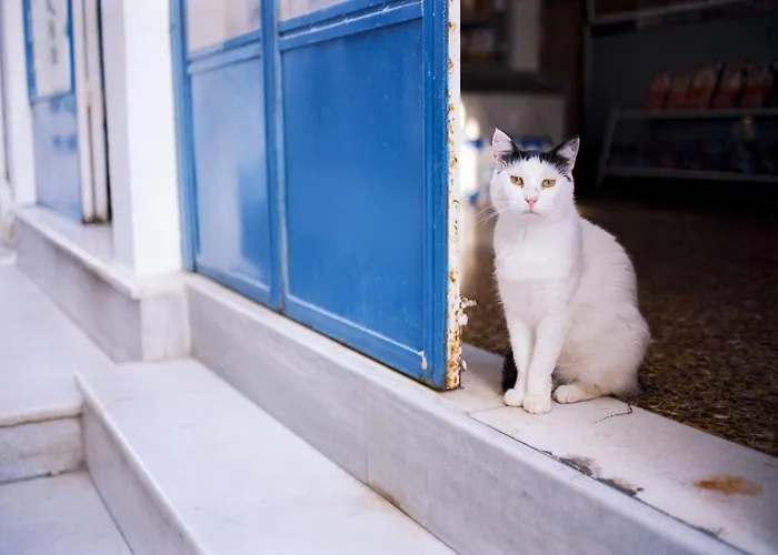 Gorgeous Paros 3 Bedrooms Harmony Private Outdoor Jacuzzi Villa
